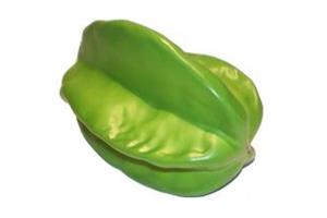 STAR FRUIT Stress Ball