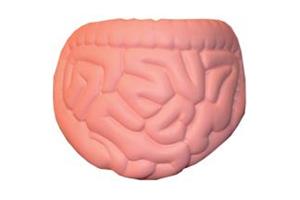 INTESTINE Stress Ball