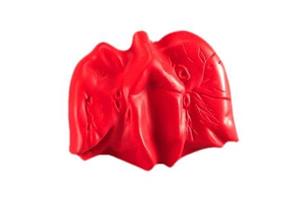 LUNGS Stress Ball