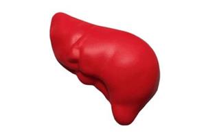 LIVER Stress Ball