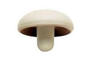 MUSHROOM Stress Ball