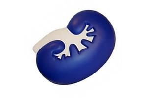 KIDNEY Stress Ball