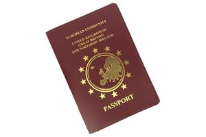 European Leather Passport Holder