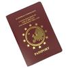 European Leather Passport Holder