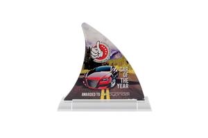 Fin Shaped Award