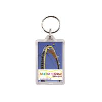 G1 Clear View Plastic Key ring