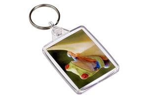 Insertable Soft Touch Passport Keyring