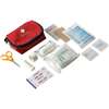 First aid kit in a nylon pouch - new