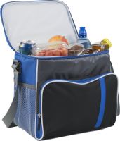 Cooler bag