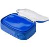 Cooler bag with a plastic lunch box. 