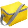 Six can polyester cooler bag.