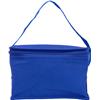 Six can cooler bag.