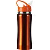 Stainless steel drinking bottle