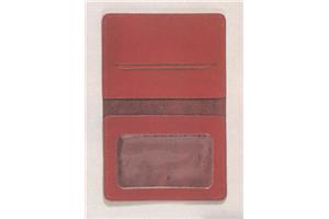 Driving Licence and Insurance Wallet