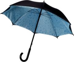 Double canopy umbrella