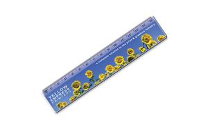 15cm Ruler