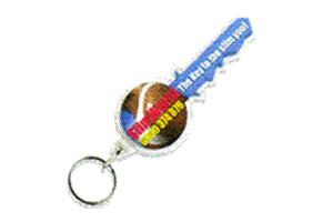 Key Shaped Clear View Plastic Key Ring